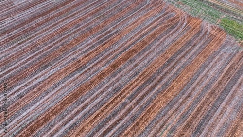 Agricultural landscape of truffle oak plantations. Aerial view from a drone. Berdun. Municipality of the Canal de Berdún.The Jacetania. Huesca, Aragon, Spain, Europe photo