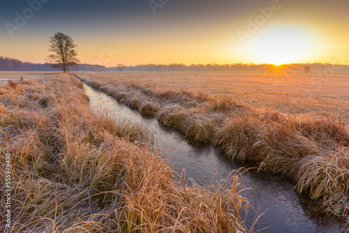 Landscape with stream and lone tree at Sunrise in February in Hesse, Germany