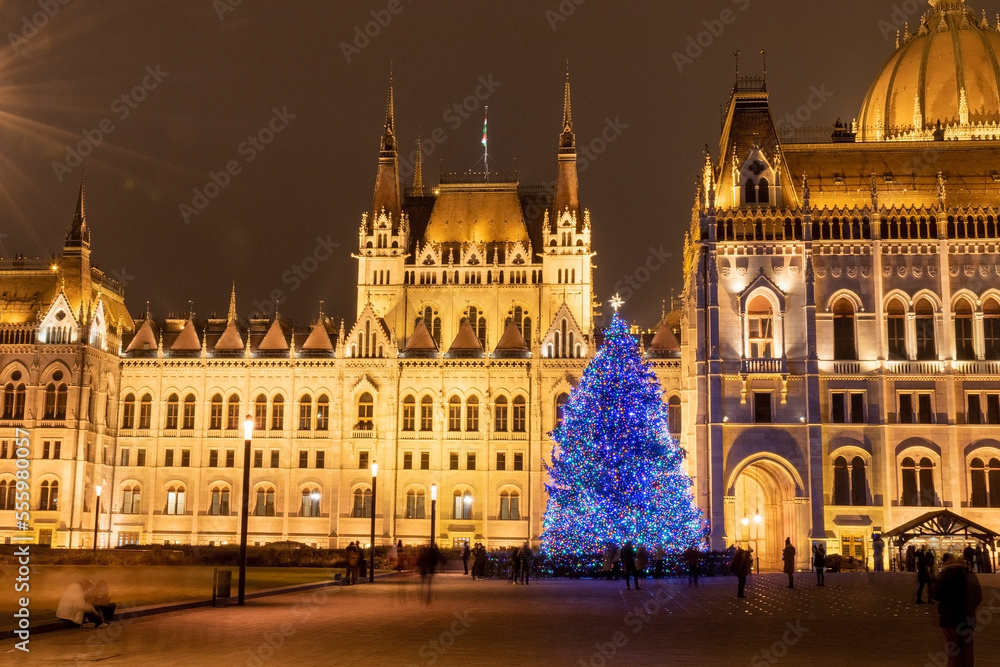 Hungarian pairlament with christmas tree