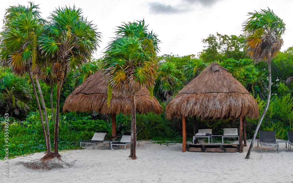 Palms parasols sun loungers beach resort Playa del Carmen Mexico.