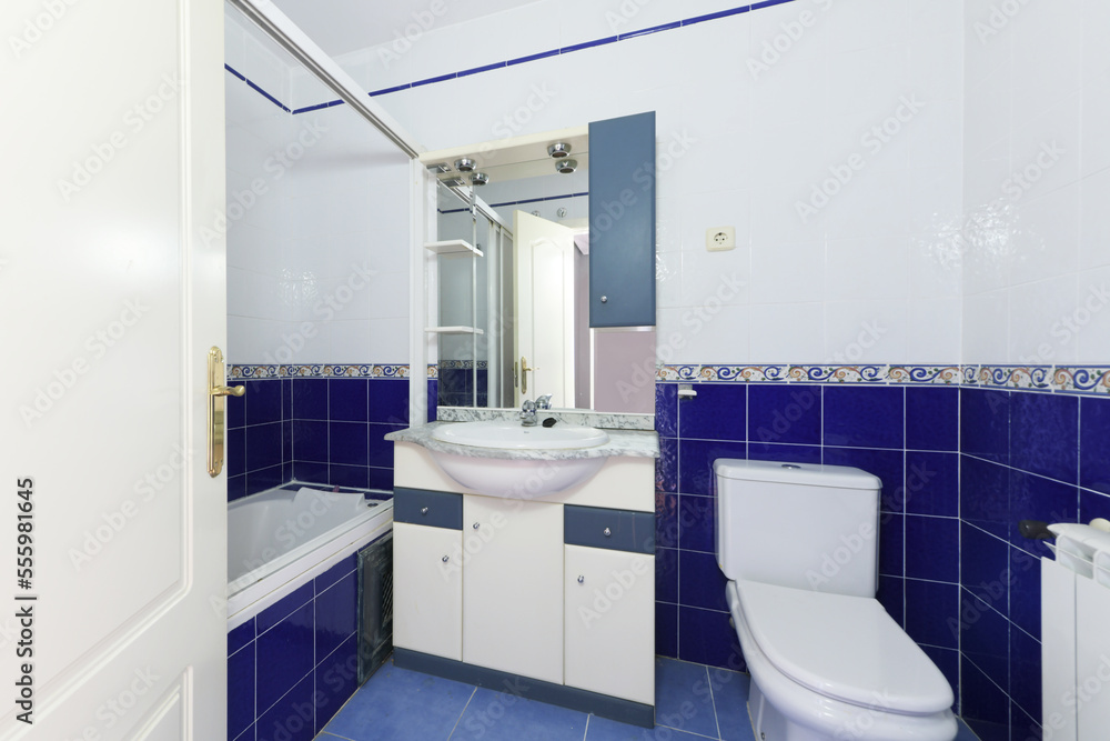 Toilet with blue and white tiles separated by a border and matching bathroom cabinet with integrated mirror Toilet with blue and white tiles separated by a border and matching bathroom cabinet with integrated mirror