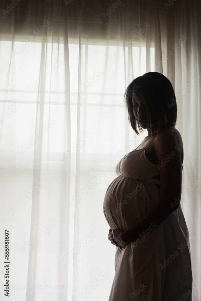 Silhouette of Pregnant Woman Standing by Window Silhouette of Pregnant Woman Standing by Window
