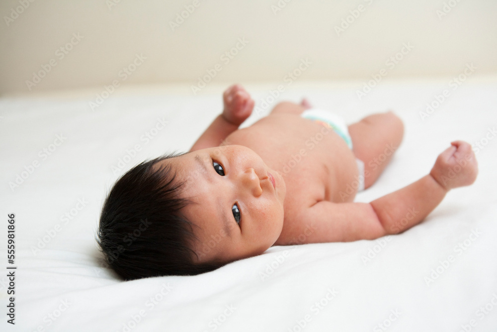 Newborn Asian baby in diaper, looking up at camera, studio shot on white background Newborn Asian baby in diaper, looking up at camera, studio shot on white background