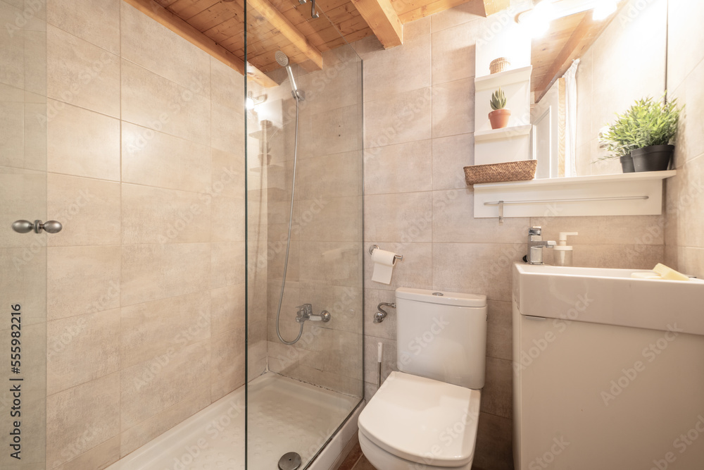 Small bathroom with glass-enclosed shower tray and door, pine coffered ceiling, and small square sink under a mirror with white shelves Small bathroom with glass-enclosed shower tray and door, pine coffered ceiling, and small square sink under a mirror with white shelves