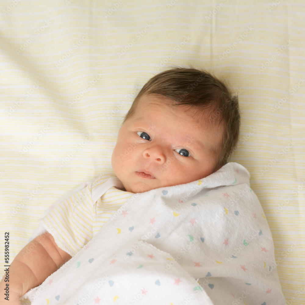 Baby Wrapped in Blanket Baby Wrapped in Blanket