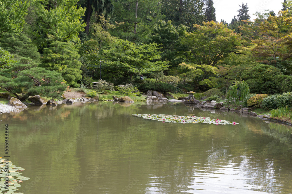 Japanese garden park in Seattle.