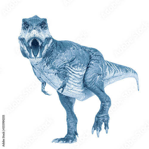 tyrannosaurus rex is walking and staring you in white background © DM7