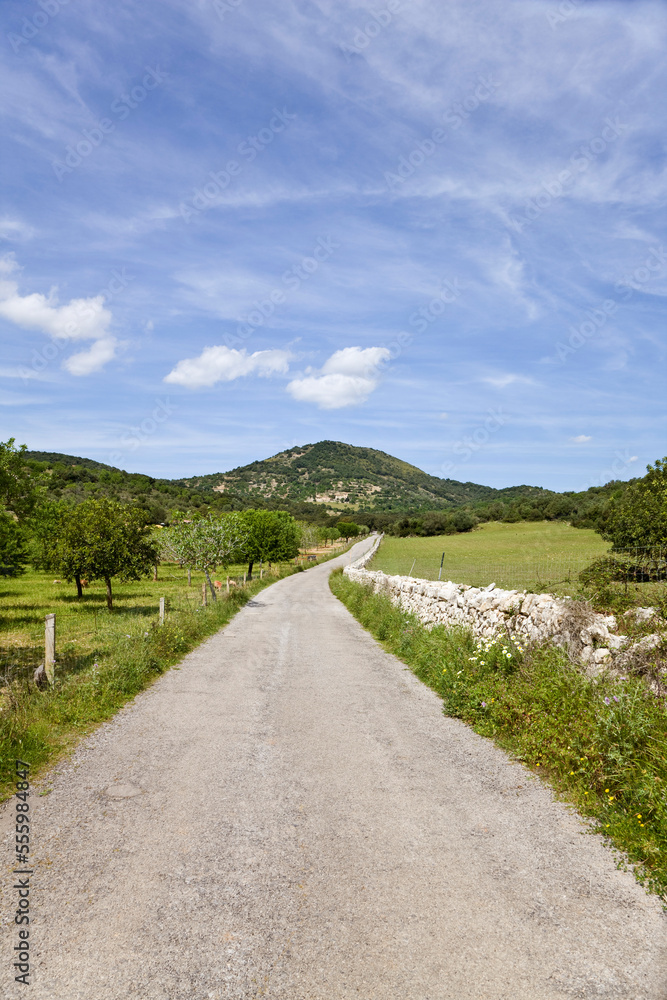 Country Road, Mallorca, Balearic Islands, Spain Country Road, Mallorca, Balearic Islands, Spain