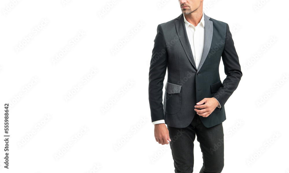 cropped man in suit. businessman isolated on white background with copy space. boss in business wear cropped man in suit. businessman isolated on white background with copy space. boss in business wear