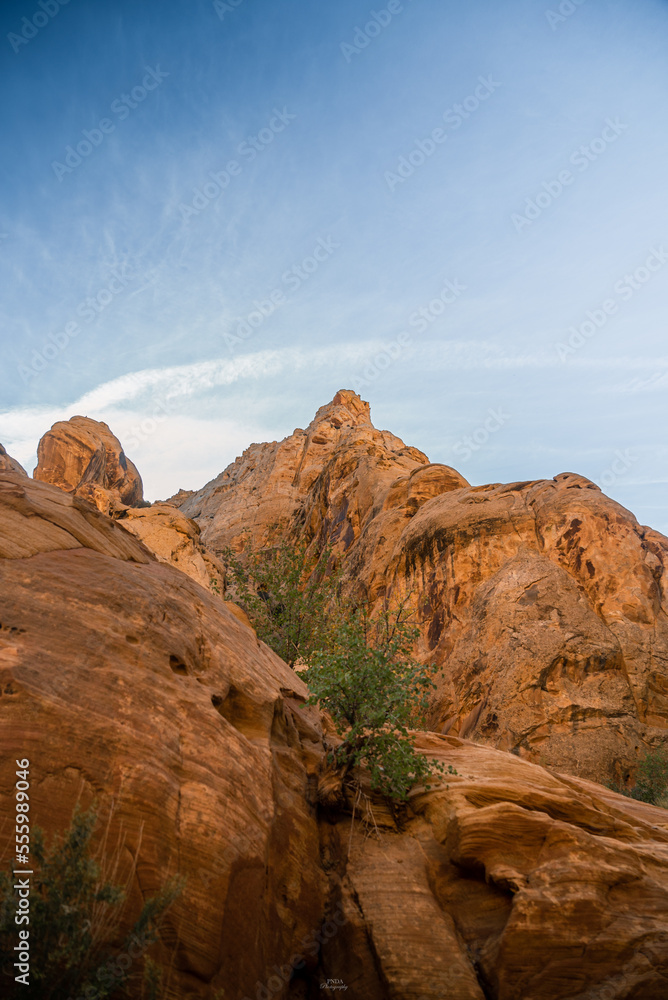 Utah National Parks