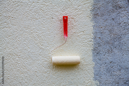 Paint Roller on Partially Painted Wall