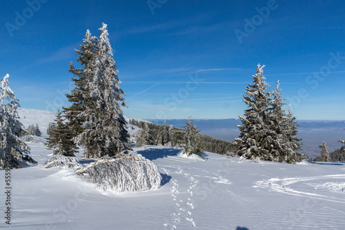 Winter landscape of Vitosha Mountain, Bulgaria