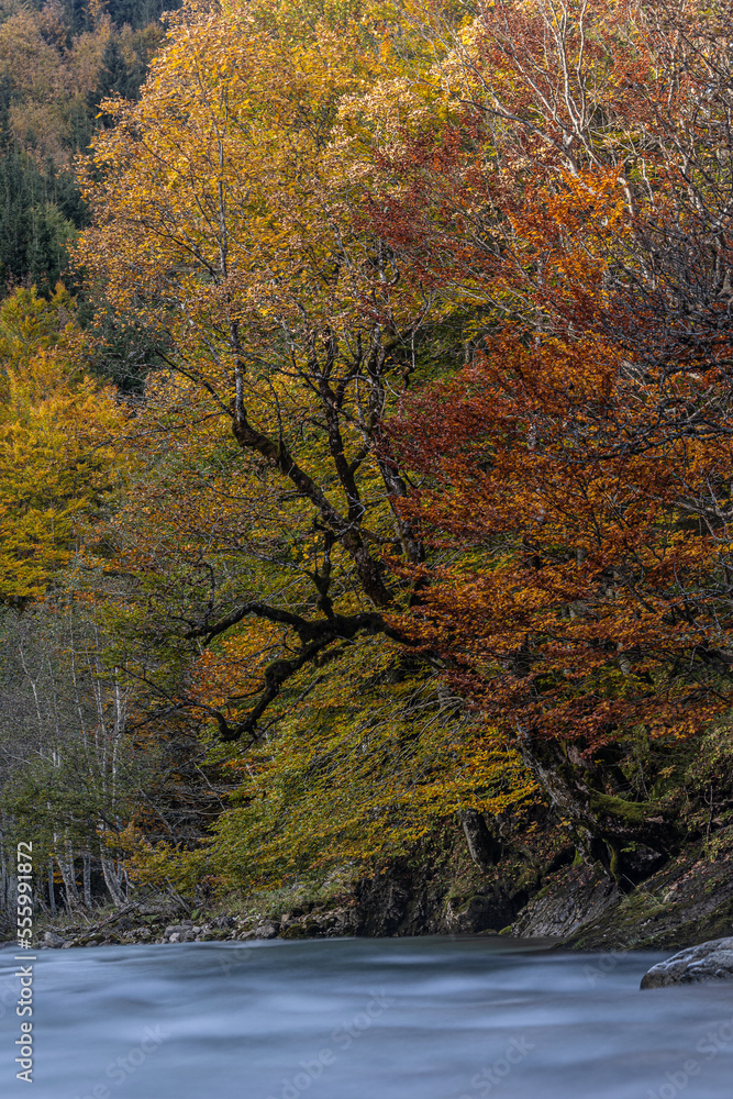Obraz premium Ostrach im Herbst