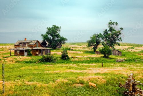 Old House, Badlands, South Dakota, USA photo