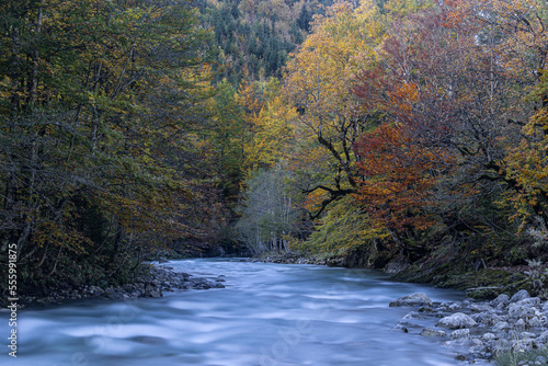 Ostrach bei Hinterstein © Matthias_Haberstock