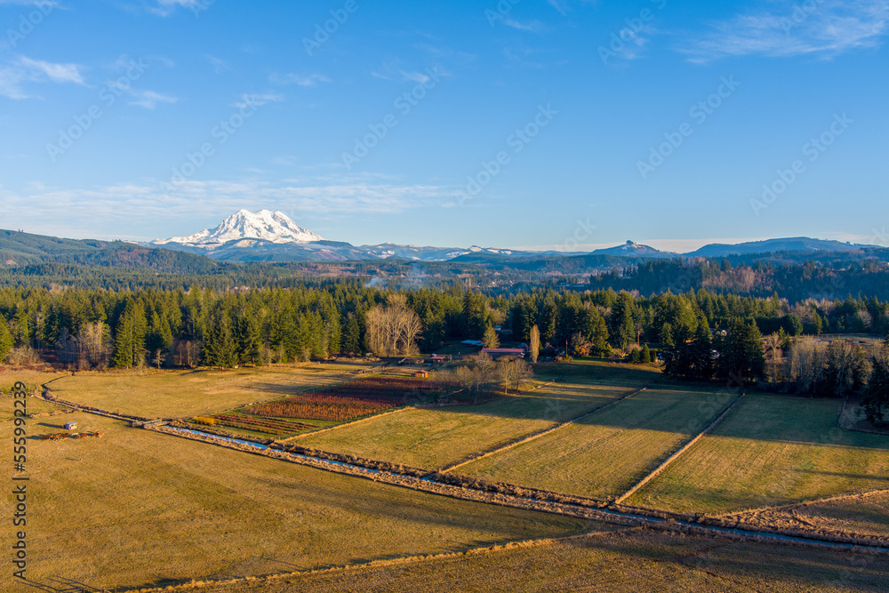 Mount Rainier in Washington State 
