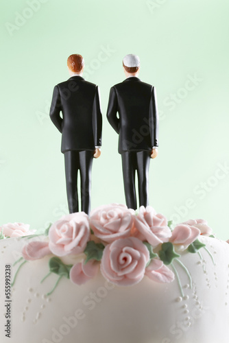 Wedding Figurines photo