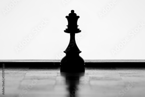 Queen chess piece silhouette on a white background