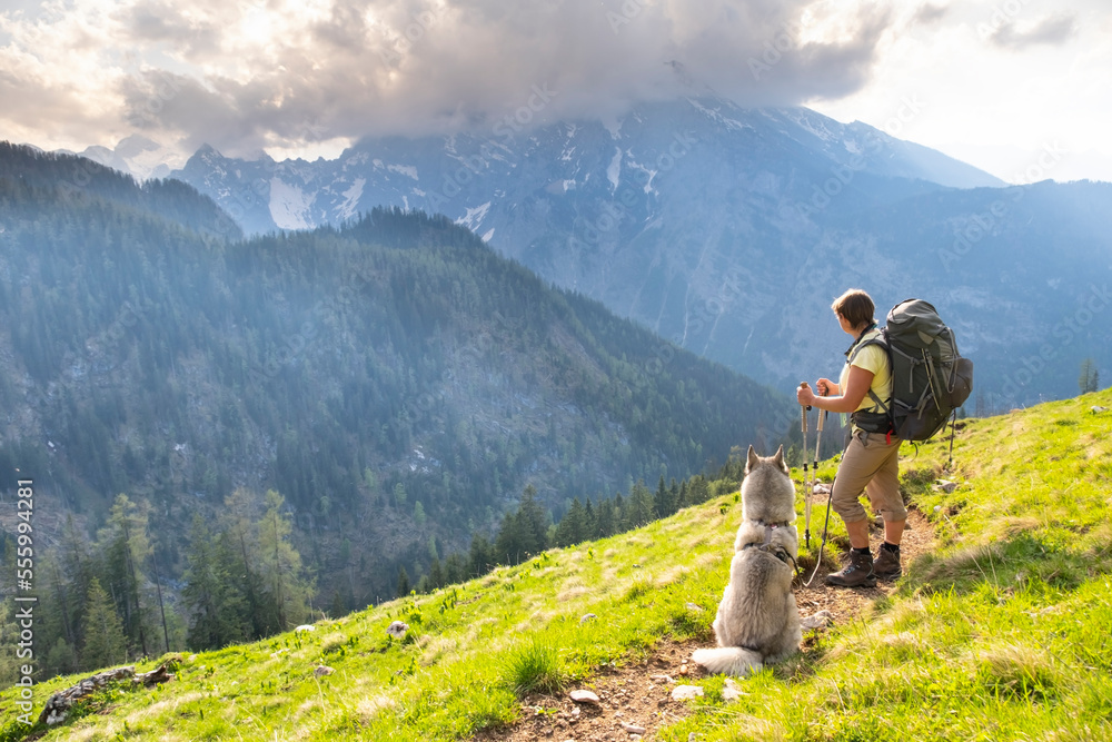 Fototapeta premium Sporty woman with a husky in Alp mountains. Traveling with a pet, friends, adventure concept