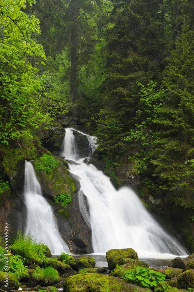 Waterfall in Black Forest, Baden-Wurttemberg, Germany Waterfall in Black Forest, Baden-Wurttemberg, Germany