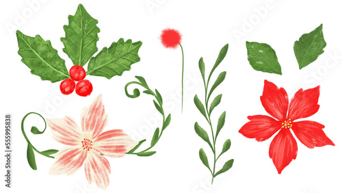 Navidad,flora,png,fiesta