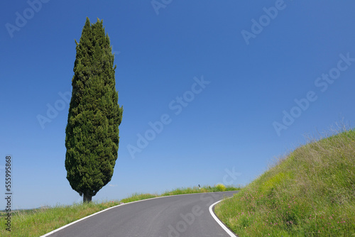 Monticchiello, Siena Province, Val d'Orcia, Tuscany, Italy photo