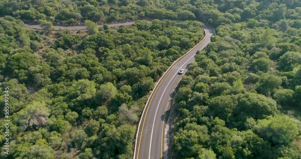 Aerial view of a sport car driving in a woodland, Carmel Forest, Haifa, Israel Aerial view of a sport car driving in a woodland, Carmel Forest, Haifa, Israel