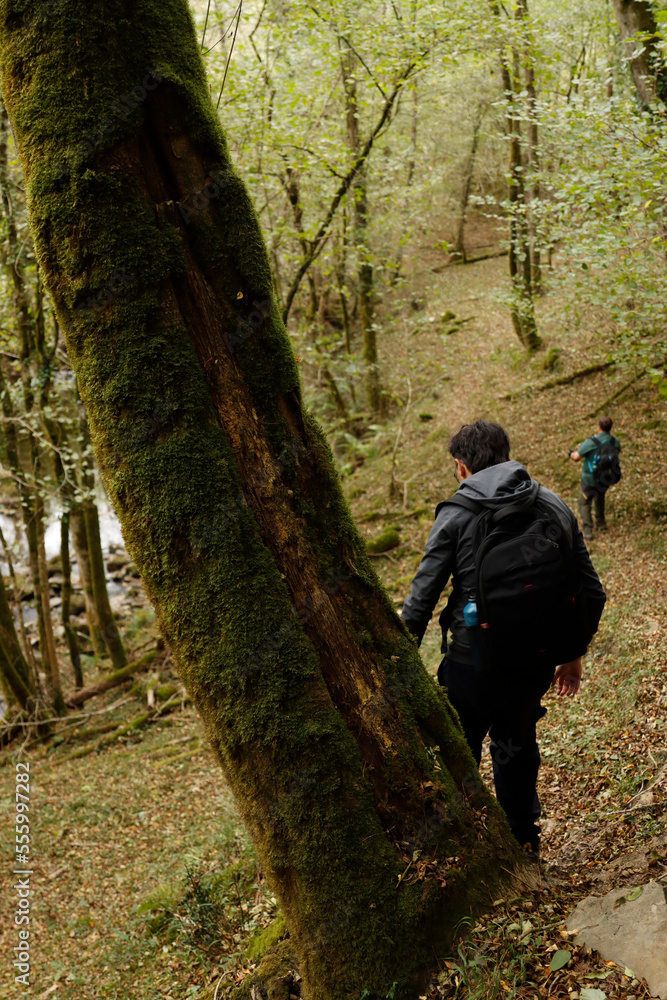 Hiking in the woods