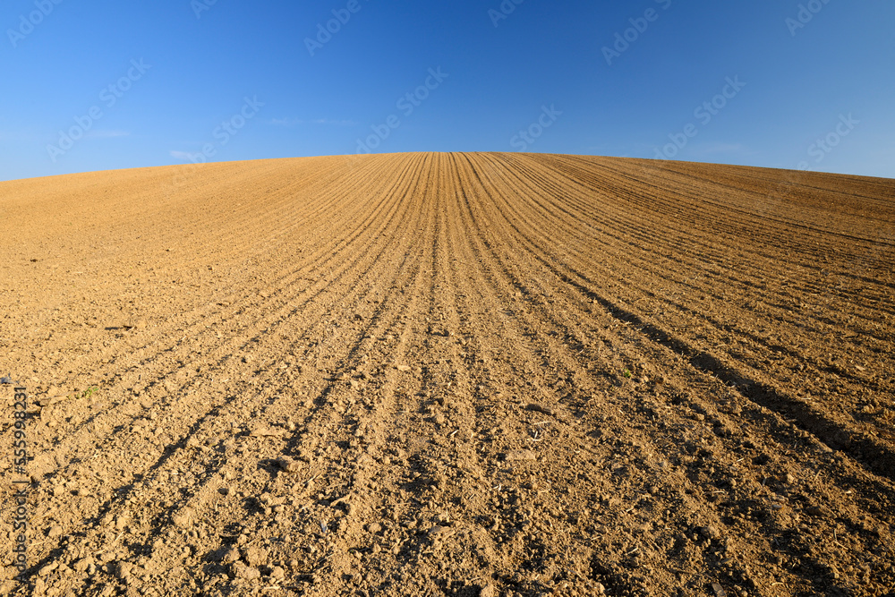 Sowed Field, Reinheim, Darmstadt-Dieburg, Hesse, Germany Sowed Field, Reinheim, Darmstadt-Dieburg, Hesse, Germany