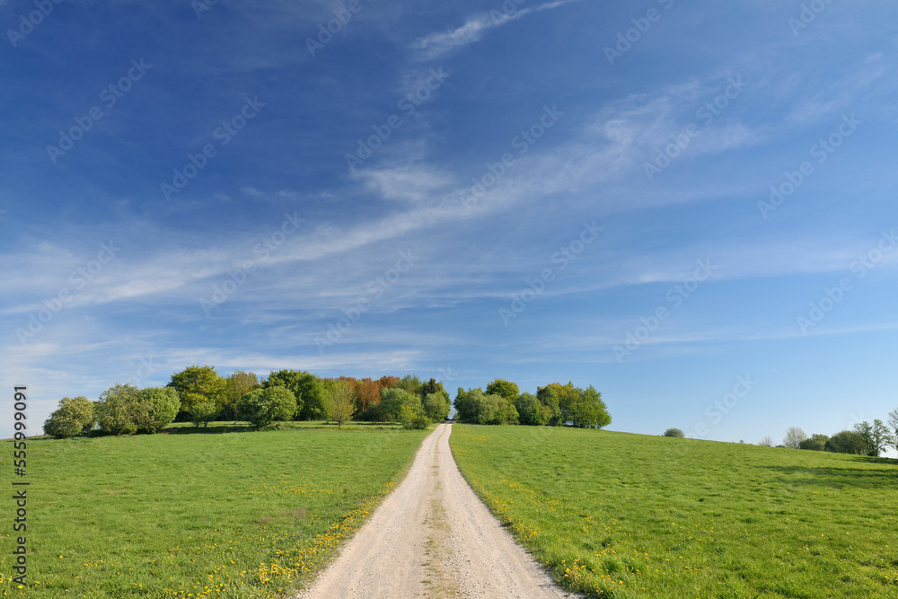 Dirt Road, Usseln, Willingen, Waldeck-Frankenberg, Hesse, Germany Dirt Road, Usseln, Willingen, Waldeck-Frankenberg, Hesse, Germany