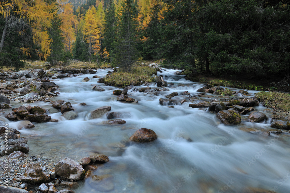Mountain Stream, Preda, Bergun, Albula Pass, Canton of Graubunden, Switzerland Mountain Stream, Preda, Bergun, Albula Pass, Canton of Graubunden, Switzerland