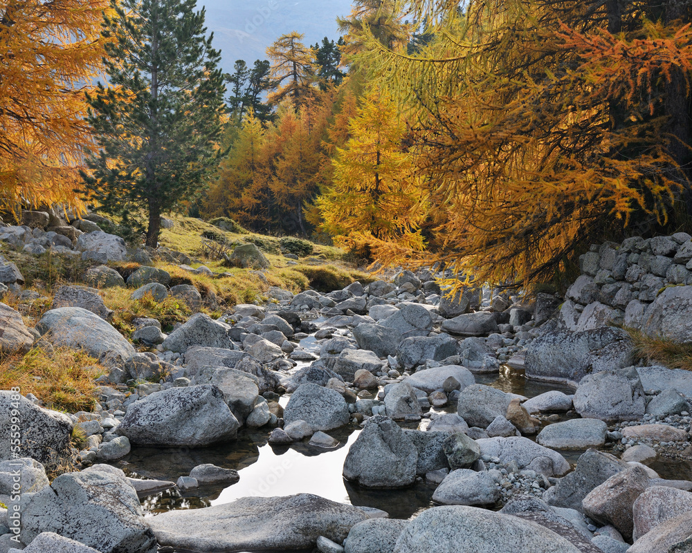 Mountain Stream, Julier Pass, Canton of Graubunden, Switzerland Mountain Stream, Julier Pass, Canton of Graubunden, Switzerland