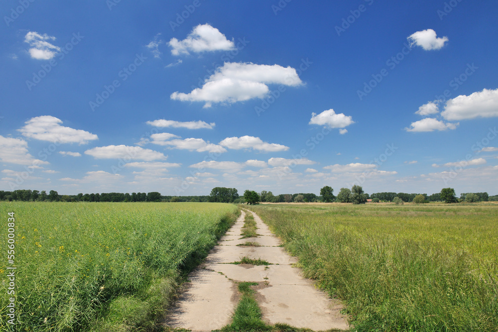 Dirt Road, Biebesheim, Hesse, Germany Dirt Road, Biebesheim, Hesse, Germany