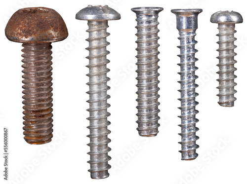 Screws, wood screws, on an isolated background.