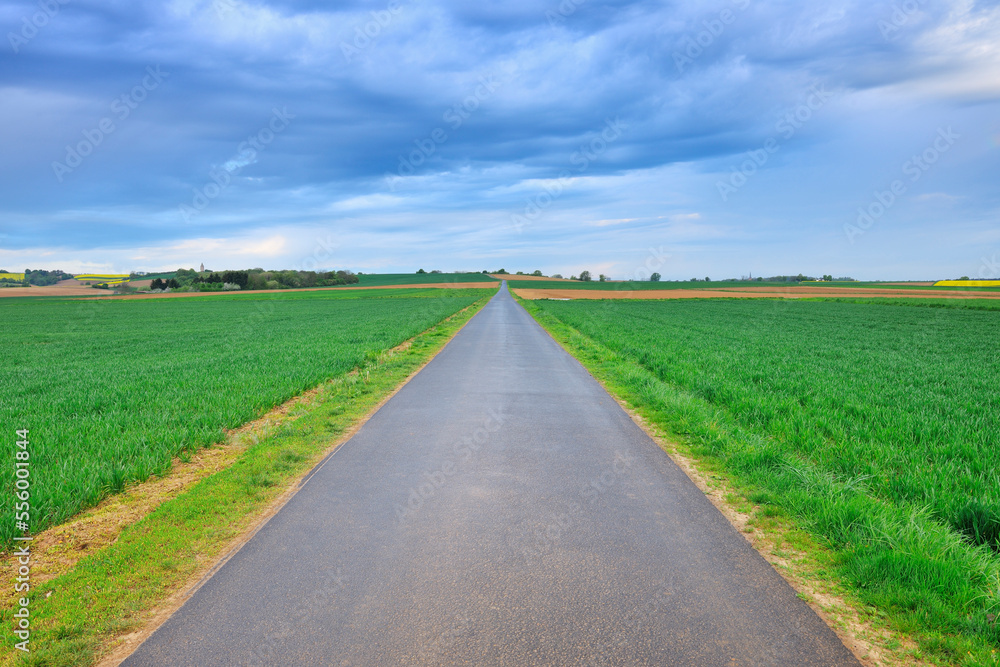 Road through Fields, Grossostheim, Bachgau, Bavaria, Germany Road through Fields, Grossostheim, Bachgau, Bavaria, Germany