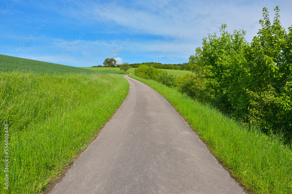 Road through Field in Spring, Hohebach, Jagst, Baden-Wurttemberg, Germany Road through Field in Spring, Hohebach, Jagst, Baden-Wurttemberg, Germany