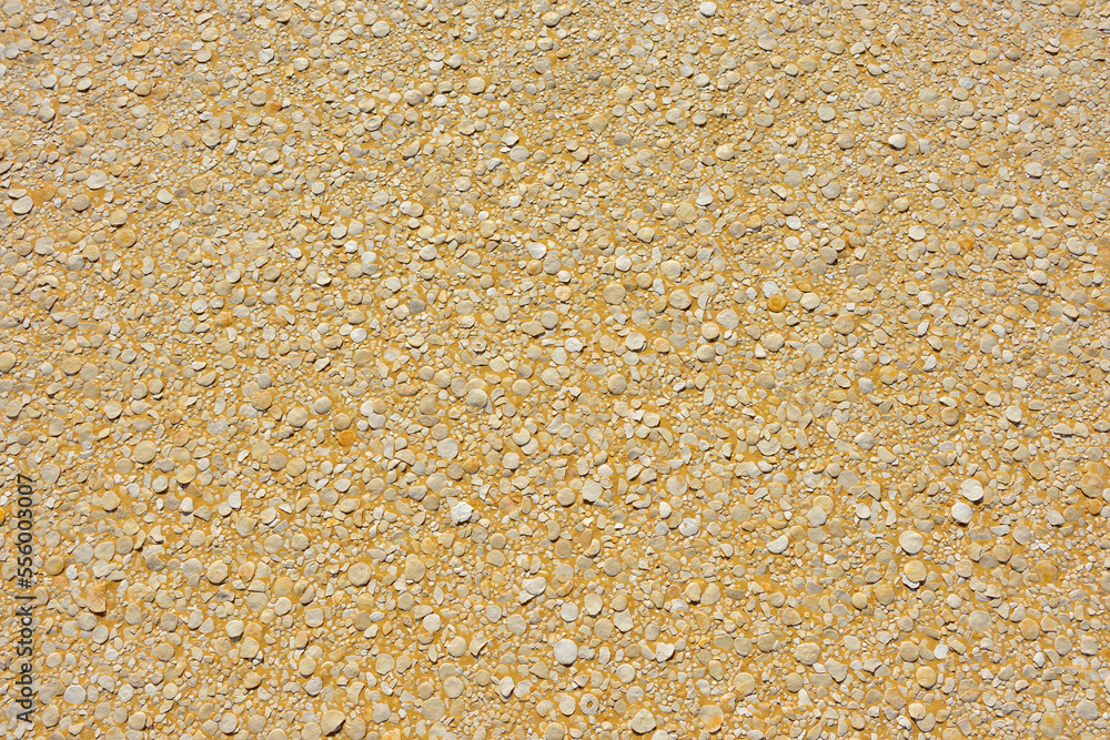 Compacted Rock on Desert Floor, Matruh, Libyan Desert, Sahara Desert, Egypt, North Africa, Africa Compacted Rock on Desert Floor, Matruh, Libyan Desert, Sahara Desert, Egypt, North Africa, Africa