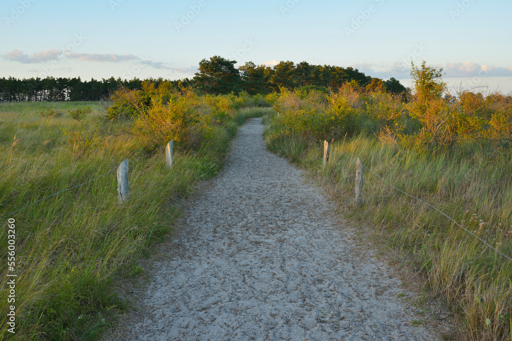 Costal Beach Path, Darsser Ort, West Beach, Prerow, Darss, Fischland ...