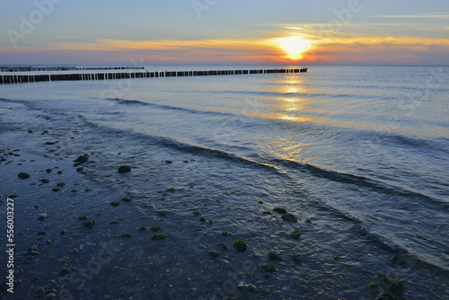 Wallpaper Mural Sunset over Baltic Sea, Wustrow, Fischland-Darss-Zingst, Mecklenburg-Vorpommern, Germany Torontodigital.ca