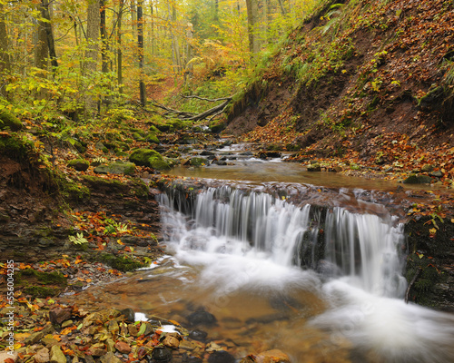Cascade of Creek in Autumn, Kaskadenschucht, Sandberg, Gersfeld, Rhon Mountain Range, Hesse, Germany