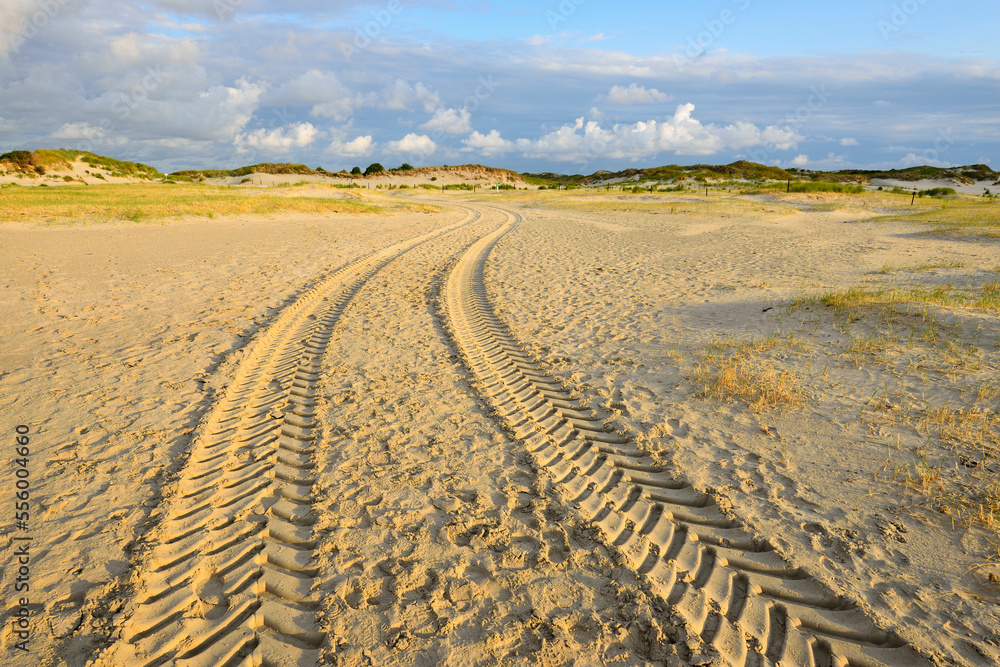 Lane in Landscape of Dunes east Norderney, Summer, Norderney, East Frisia Island, North Sea, Lower Saxony, Germany Lane in Landscape of Dunes east Norderney, Summer, Norderney, East Frisia Island, North Sea, Lower Saxony, Germany