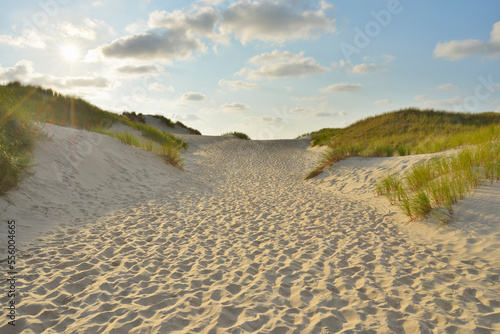 Path through the Dunes to the Beach with Sun, Summer, Norderney, East Frisia Island, North Sea, Lower Saxony, Germany photo