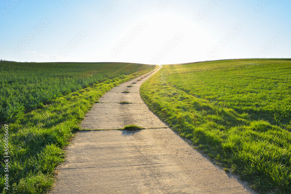 Road through Field with Sun, Helmstadt, Franconia, Bavaria, Germany Road through Field with Sun, Helmstadt, Franconia, Bavaria, Germany
