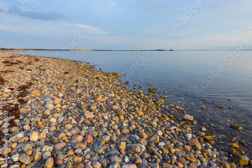 Pebble Beach in Evening, Fyns Hoved, Hindsholm, Kerteminde Municipality, Funen, Baltic Sea, Denmark photo