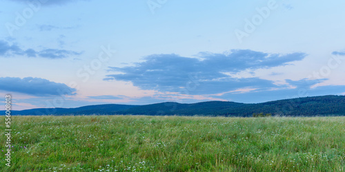 Meadow at dusk in summer at Roellbach in the Spessart hills in Bavaria, Germany photo