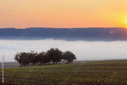 Countryside with morning mist and sunrise over fields in Grossheubach in Bavaria, Germany