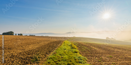 Countryside with grassy pathway through plowed fields with the sun and morning mist in autumn in the village of Schmachtenberg in Bavaria, Germany photo