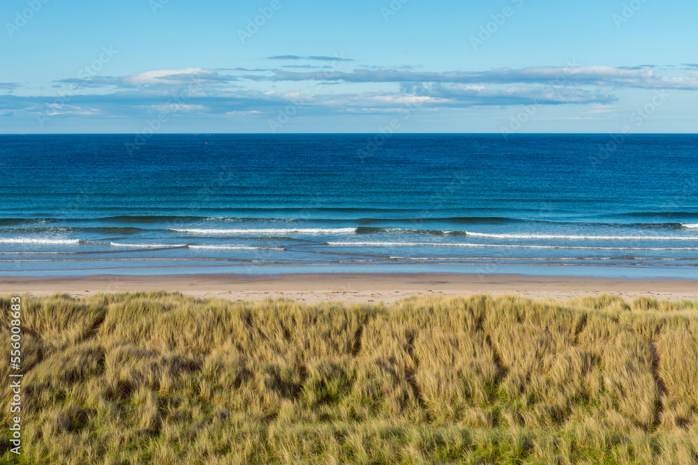 Grassy sand dunes and beach along the shores of the village of Seahouses at the North Sea in Northumberland, England, United Kingdom Grassy sand dunes and beach along the shores of the village of Seahouses at the North Sea in Northumberland, England, United Kingdom
