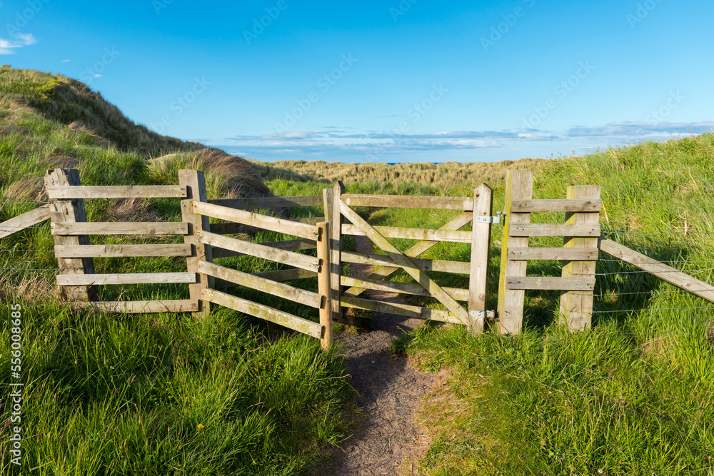 Willow fence with passage through the sand dunes in the village of Seahouses in Northumberland, England, United Kingdom Willow fence with passage through the sand dunes in the village of Seahouses in Northumberland, England, United Kingdom