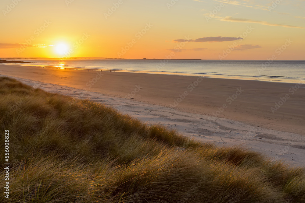 Sun reflecting on the dune grass on the beach at sunrise over the North Sea at Bamburgh in Northumberland, England, United Kingdom Sun reflecting on the dune grass on the beach at sunrise over the North Sea at Bamburgh in Northumberland, England, United Kingdom